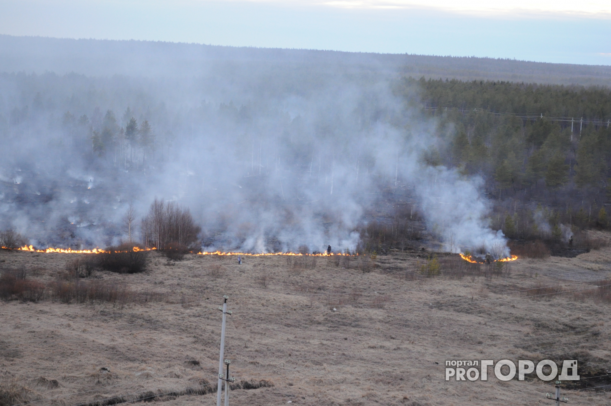 В Нижегородской области загорелся лес