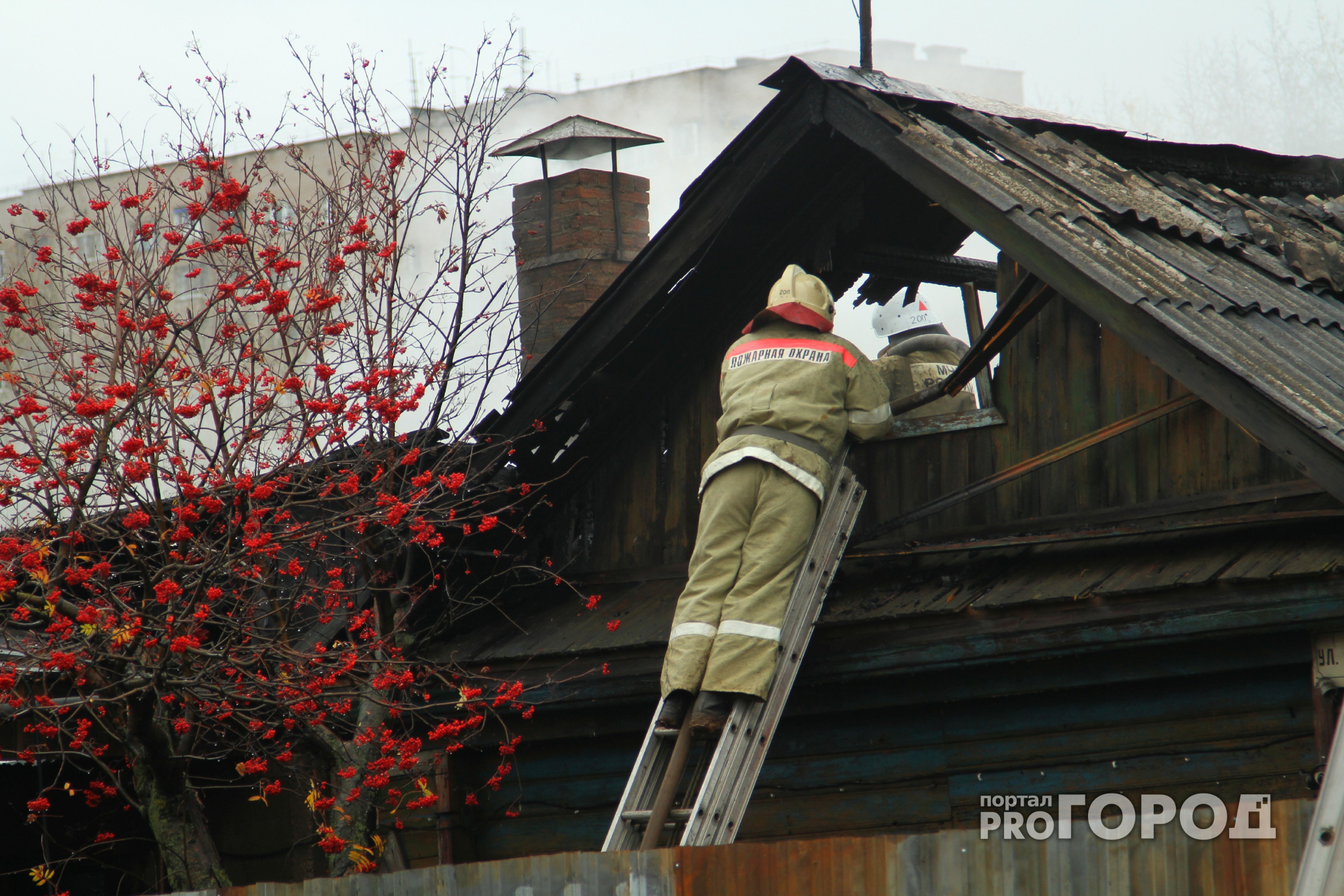 В Нижегородской области вспыхнул пожар площадью 330 квадратных метров