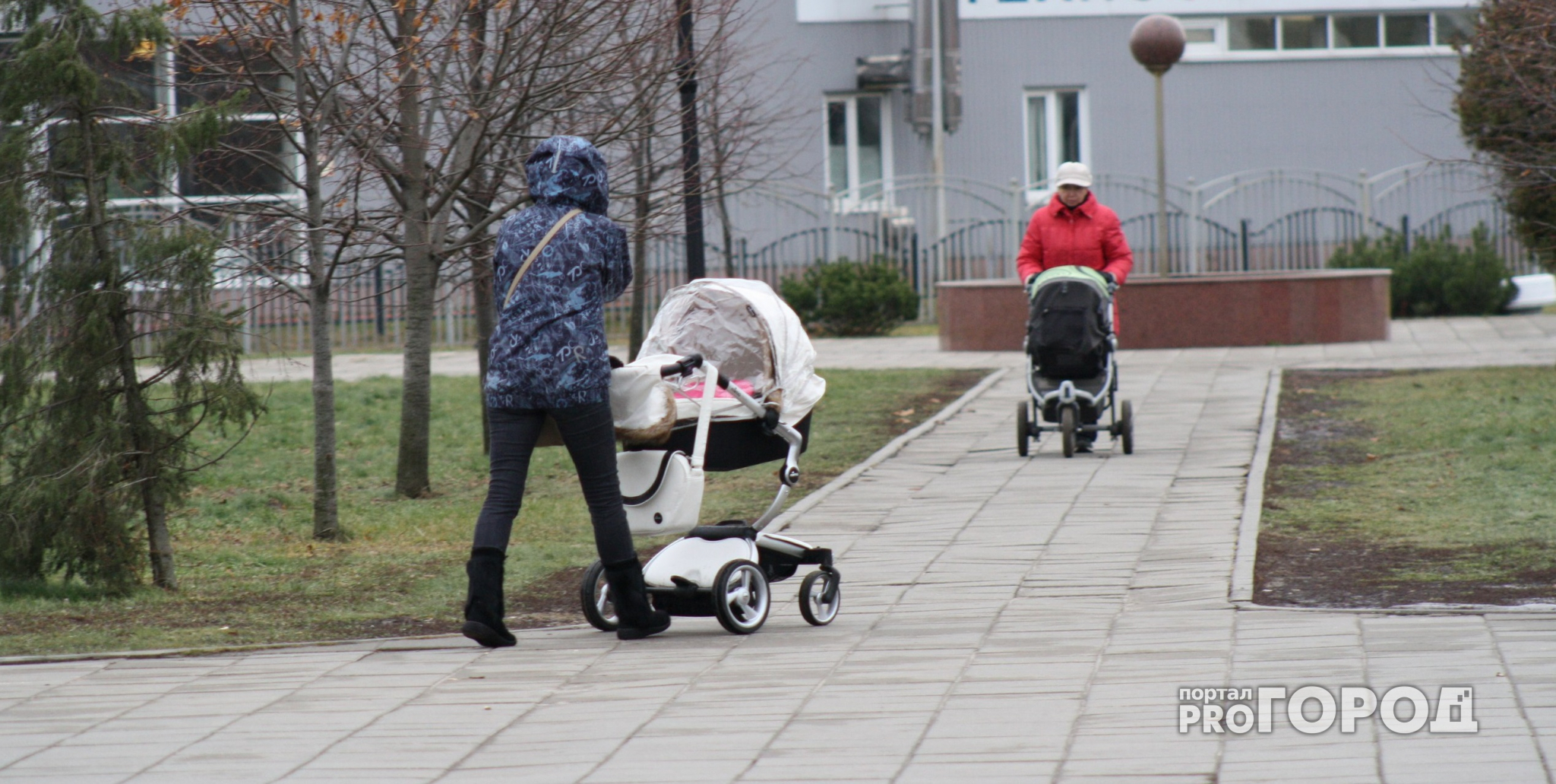 В День Победы нижегородка похитила две детские коляски