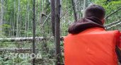 13-летний ребенок из Ветлужского района сбежал в лес и чуть не замерз насмерть