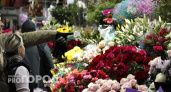 Нижегородка вывезла 80 миллионов рублей за границу, маскируя их под цветы