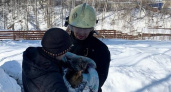 Пожарные спасли двух котов из горящего дома в Нижегородской области 